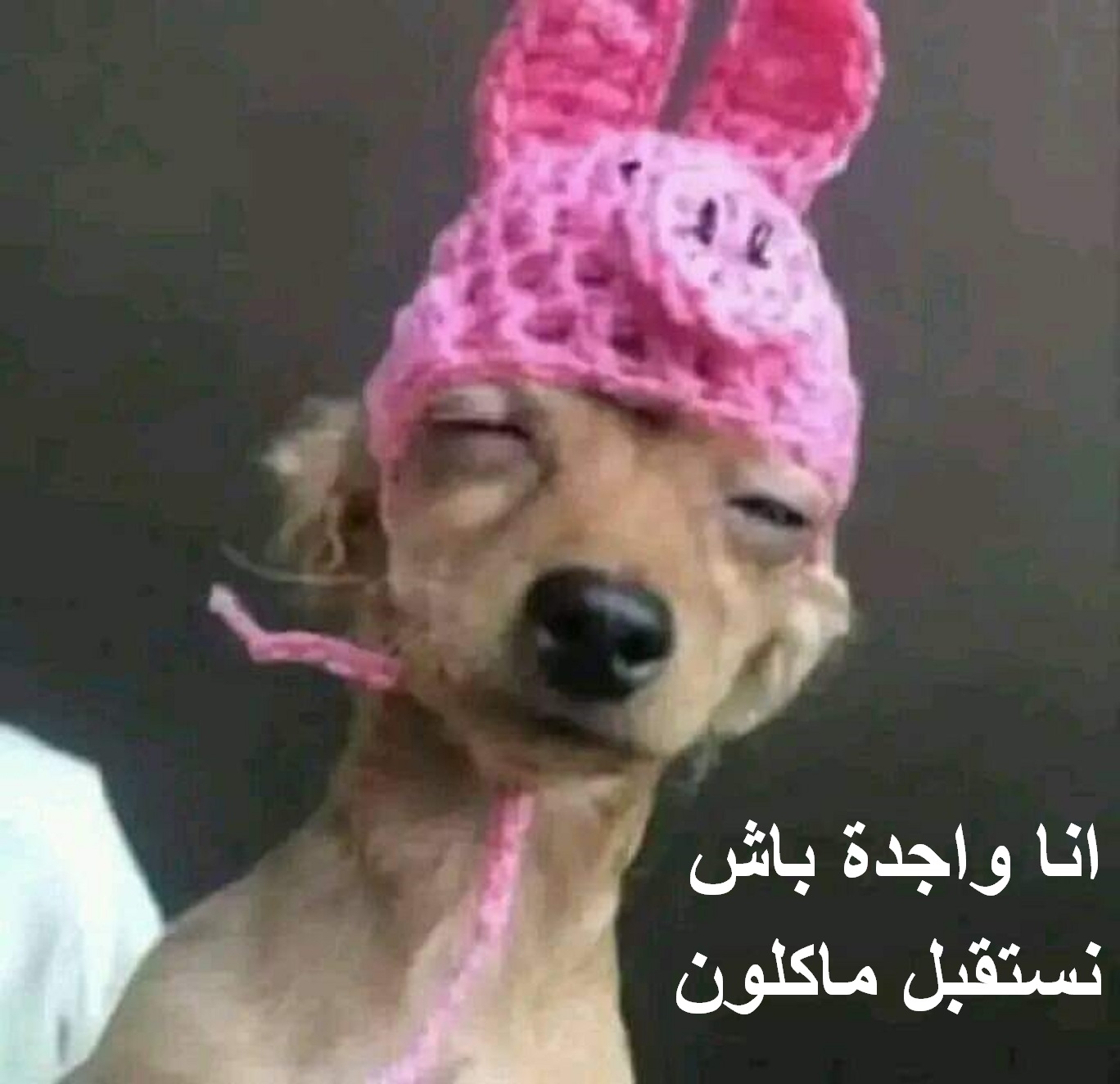 الجزائر تبتعد عن إسبانيا وتقترب اقتصاديًا من البرتغال